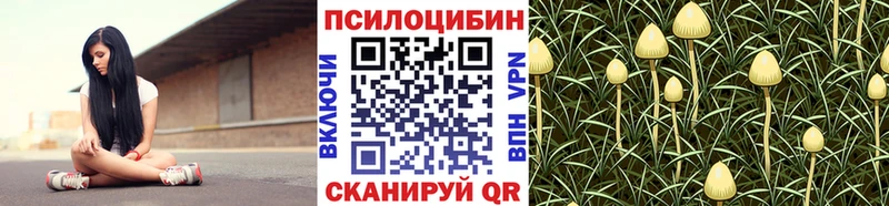 Псилоцибиновые грибы мицелий  наркота  Щёлкино 
