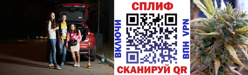 сколько стоит Щёлкино Бошки Шишки индика
